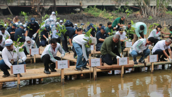 Yamaha Gelar Aksi Tanam Pohon Mangrove Demi Tekan Emisi Karbon